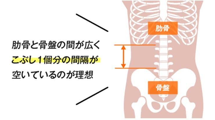 スッキリくびれたお腹を実現したい人は必見！ 正しい姿勢維持も助けて