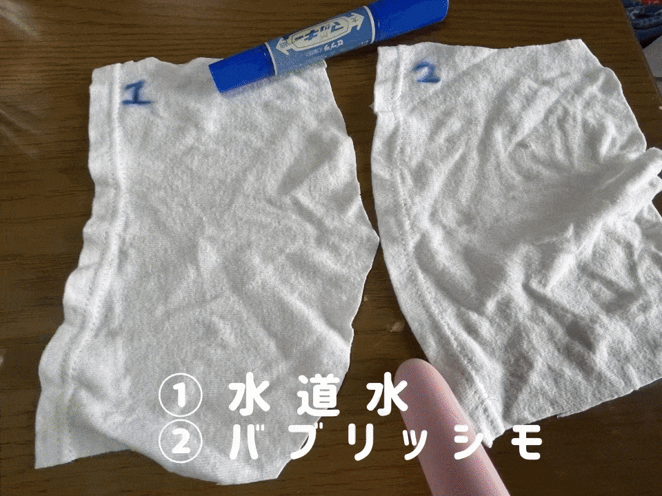 Photo: 飯田あゆみ