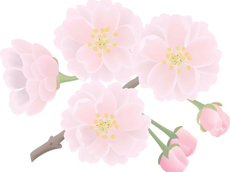 Image:Shutterstock