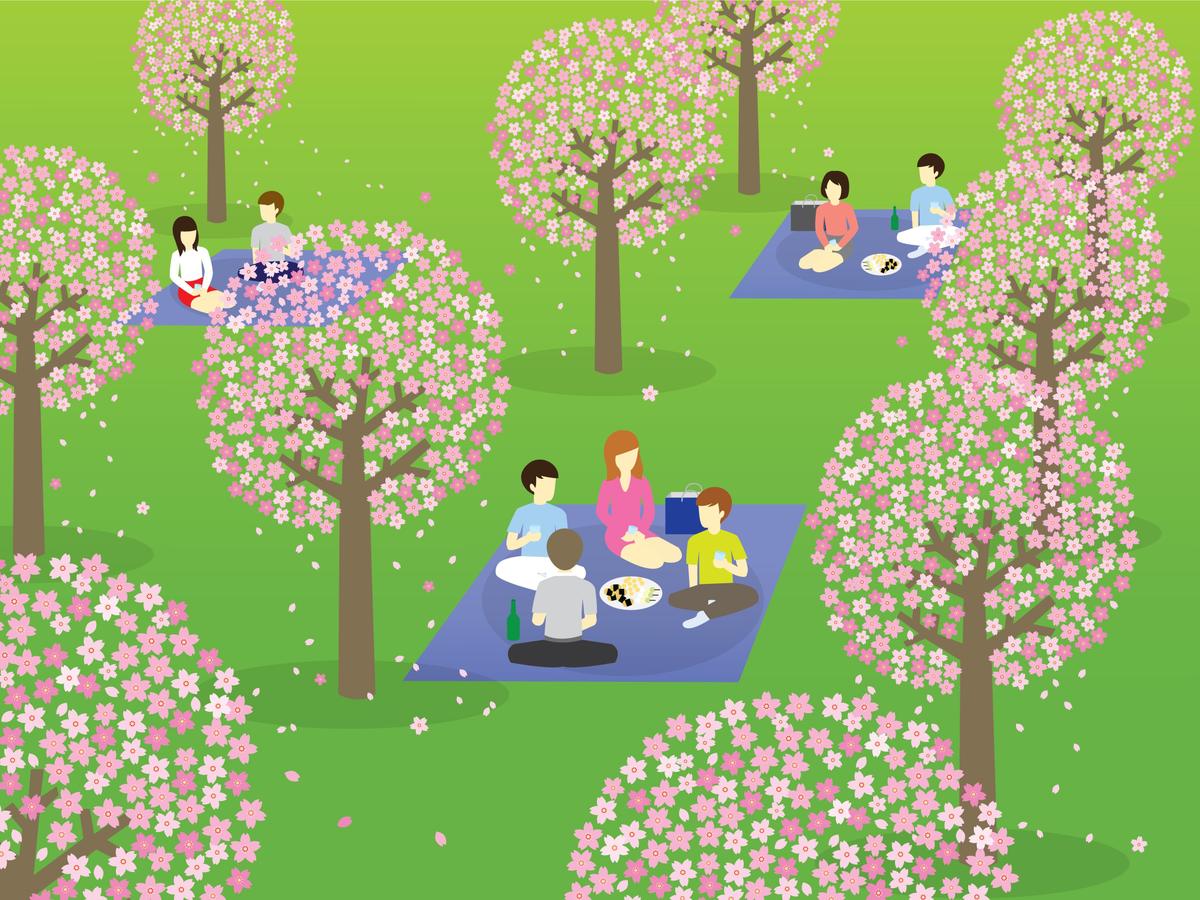 Image:Shutterstock