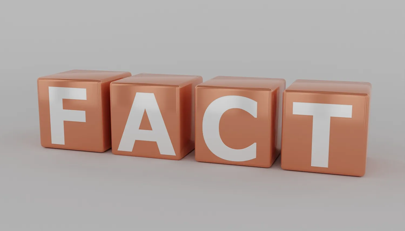 FACT(事実)のイメージ