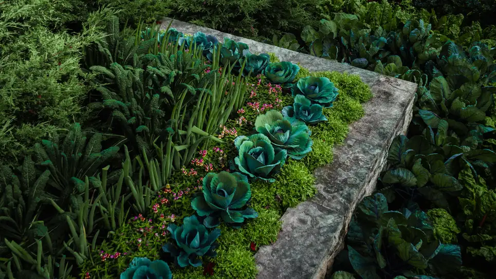 Image: Sarah Quintans (Shutterstock)