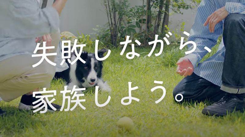 犬の歯みがきがうまくいかないワンちゃんとの毎日さえ、丸ごと愛おしく思えるように。かわいくて、おもしろいワンちゃんと飼い主さんの失敗と愛情を描いたムービー。