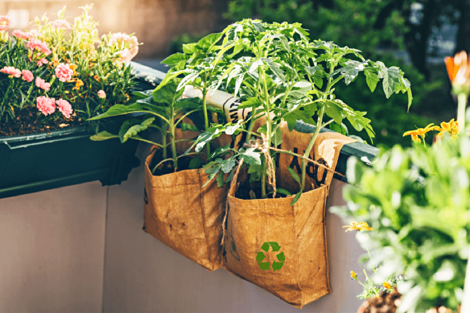 植物育成バッグ 大型野菜 植木鉢 屋上・バック・ベランダ