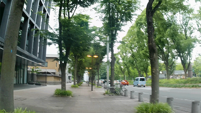 ブレ補正あり