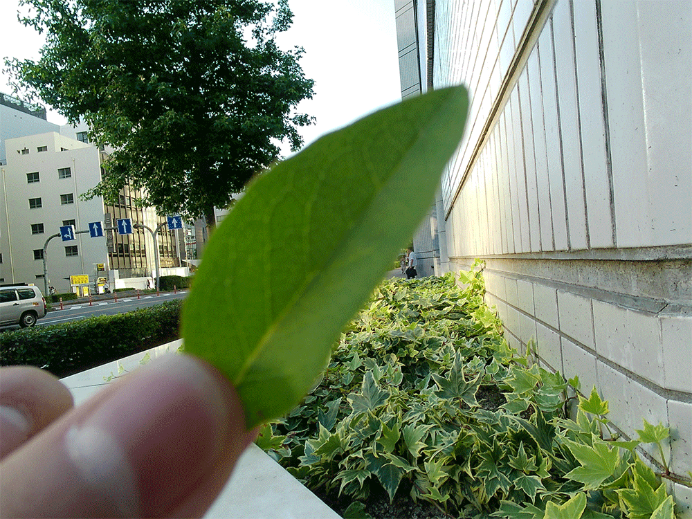 Photo: Haruki Matsumoto
