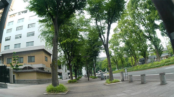 Photo: Haruki Matsumoto