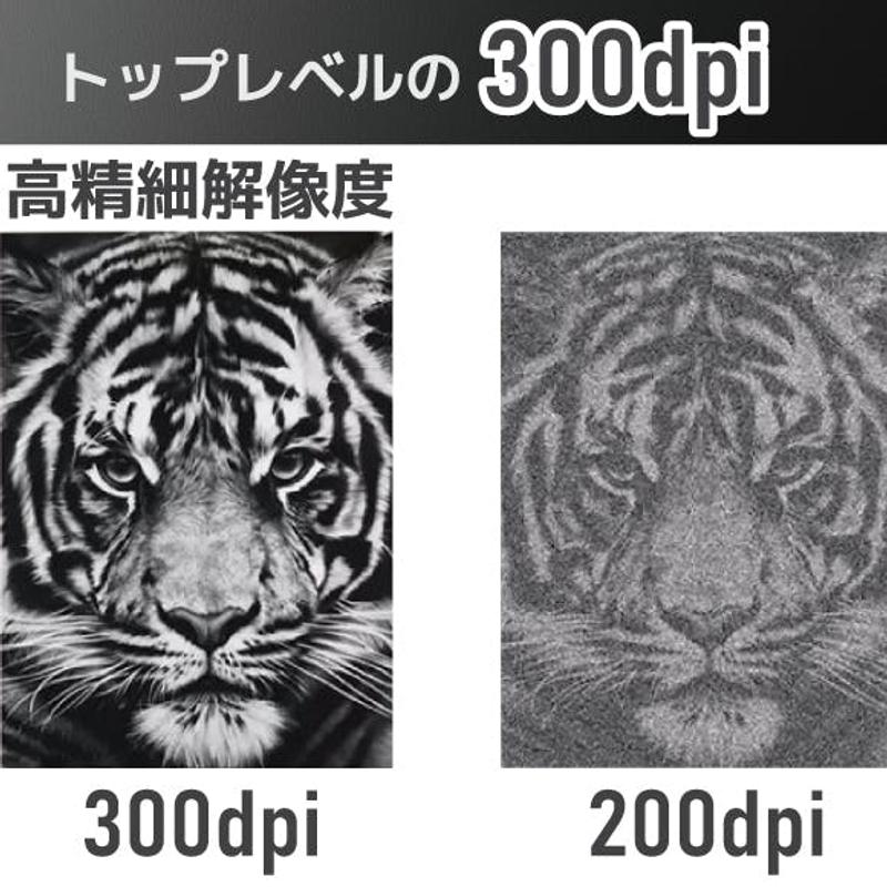 Image: MKTrade
