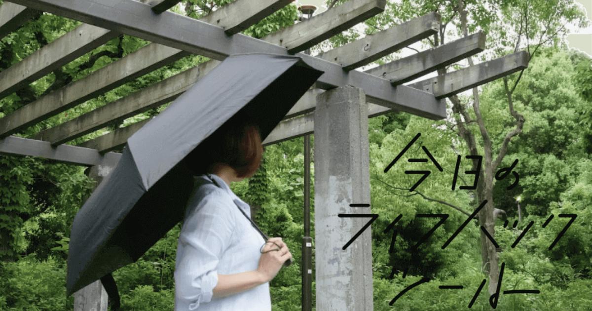 強度抜群なのに軽くて小さい自動開閉傘が期待以上！晴れ雨兼用で幅広く