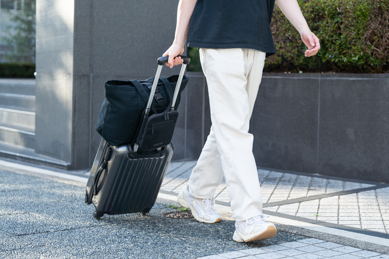 サブバッグの固定や小物管理にめっちゃ便利！ スーツケースでの旅行を快適にするマルチオーガナイザー「Travel Bag Buddy Pro」を