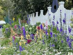 まるで花々のオーケストラ。庭を囲む「フラワーウォール」のつくり方 | ライフハッカー・ジャパン