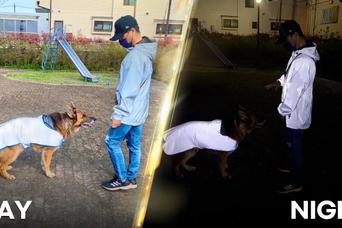 夜は目立ってナンボ! 暗闇での安全をアップしてくれる愛犬用の強力反射ウェア「ピカジャケ for dogs」