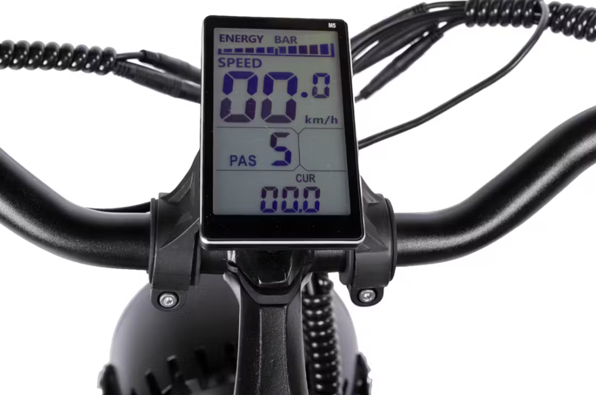 ほぼバイクな迫力！ ワイルドな個性が全開の電動アシスト自転車「AWB03