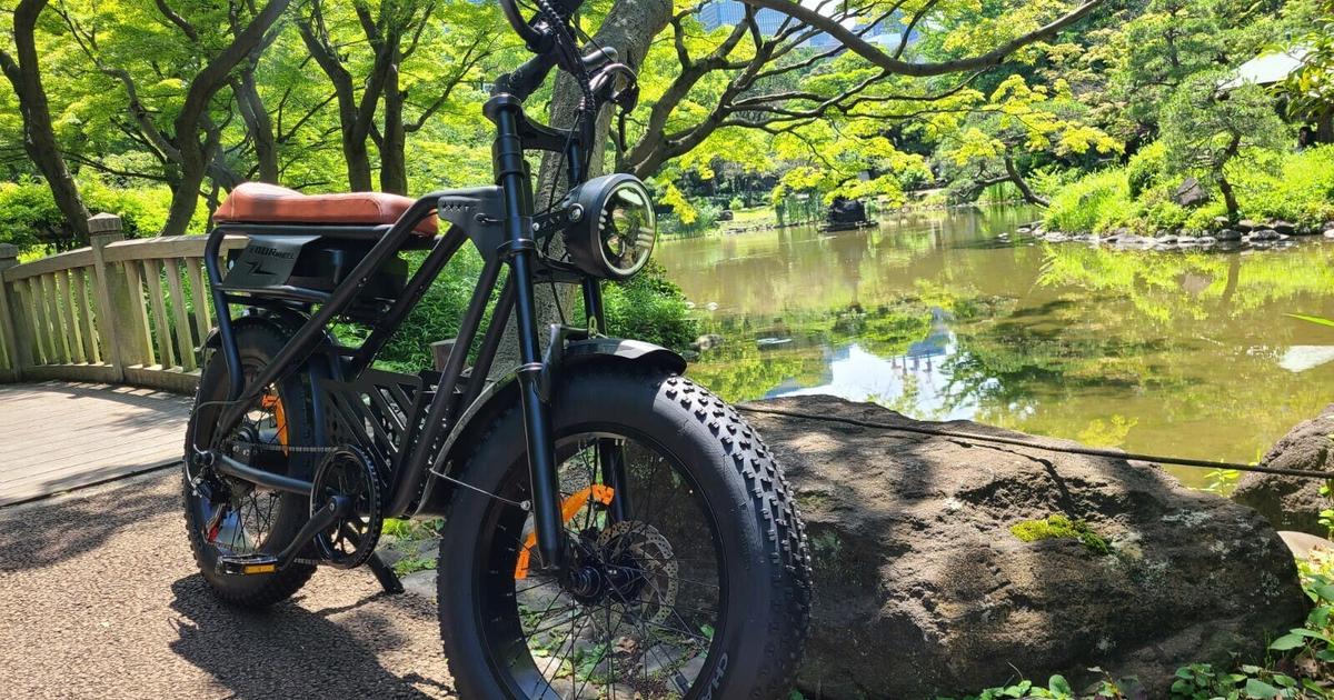 ほぼバイクな迫力！ ワイルドな個性が全開の電動アシスト自転車「AWB03 