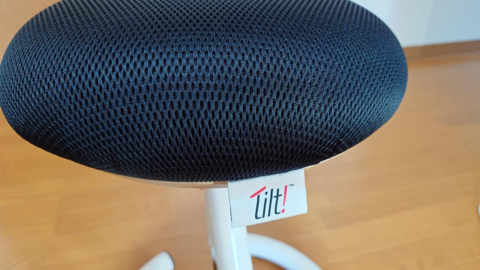 これは実質バランスボール。体幹トレーニングや座ったままの運動にも