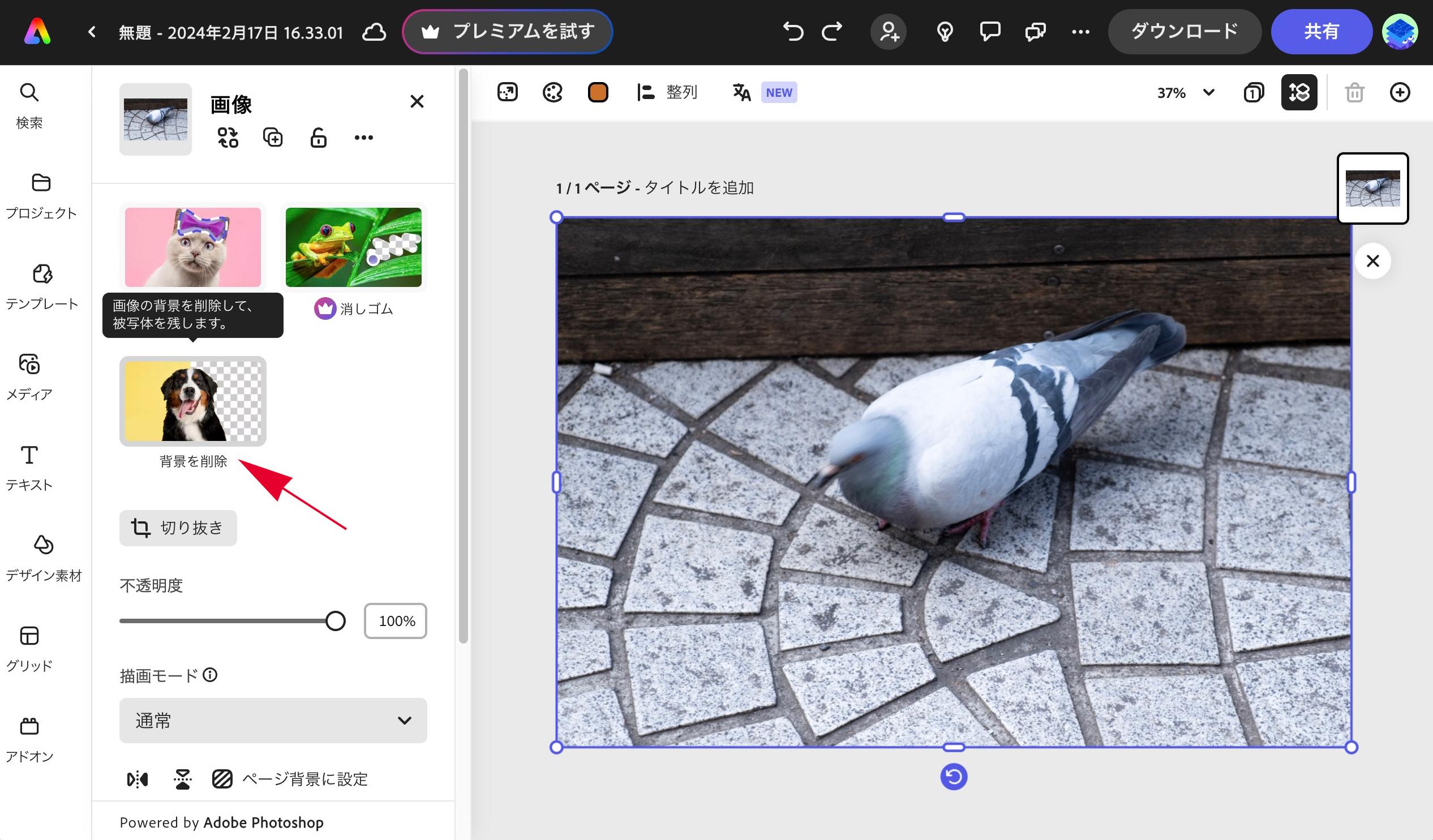 これぞアドビの本気！「Adobe Express」が無料とは思えないデザイン