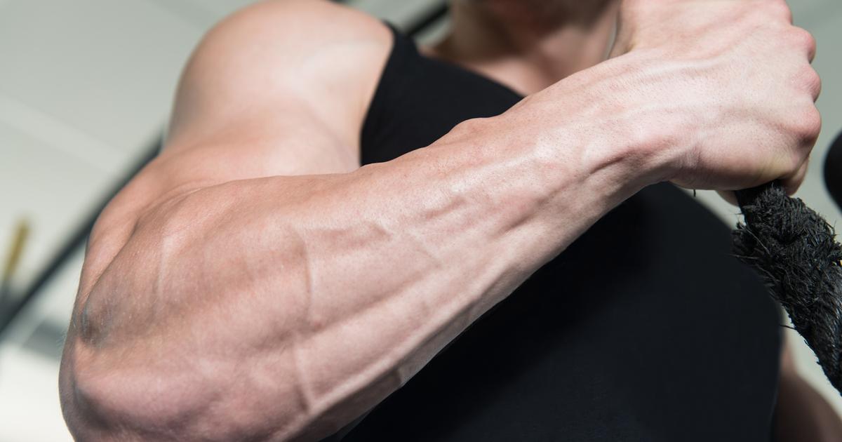 前腕」の筋トレで見た目が引き締まる！効率的に鍛えるベストな方法3選