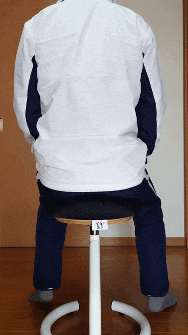 これは実質バランスボール。体幹トレーニングや座ったままの運動にも