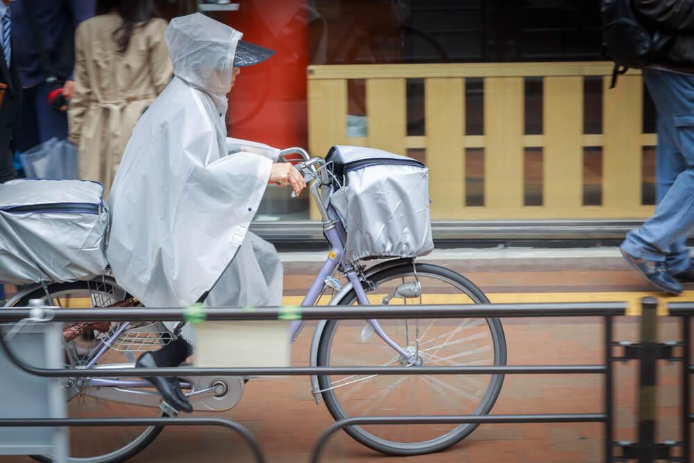 20L レインカバー 防水 リュックカバー 通勤 通学 防水カバー 趣味 雨 危な 雪 売買されたオークション情報 落札价格 【au  payマーケット】の商品情報をアーカイブ公開