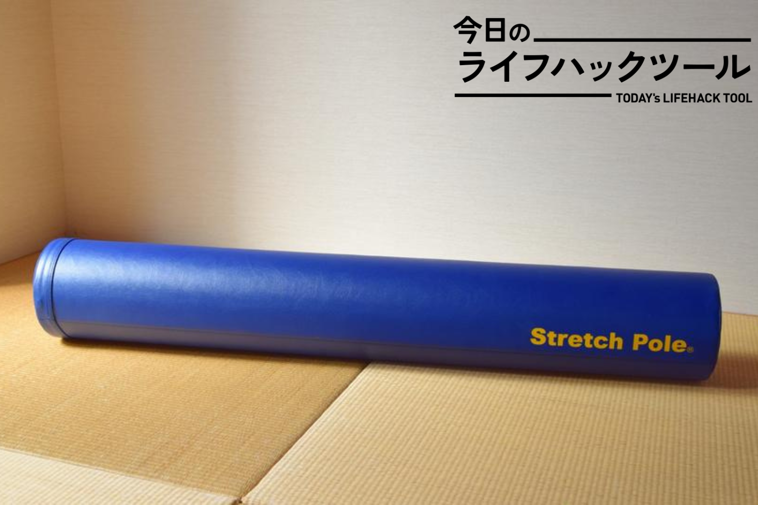 LPN ストレッチポール(R)EX （ストレッチポール ストレッチ