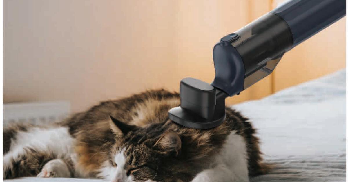ペットブラシ＆クリーナー P13Plus 未開封 毎日のペット習慣が変わる】抜け毛バイバイお部屋でもっと