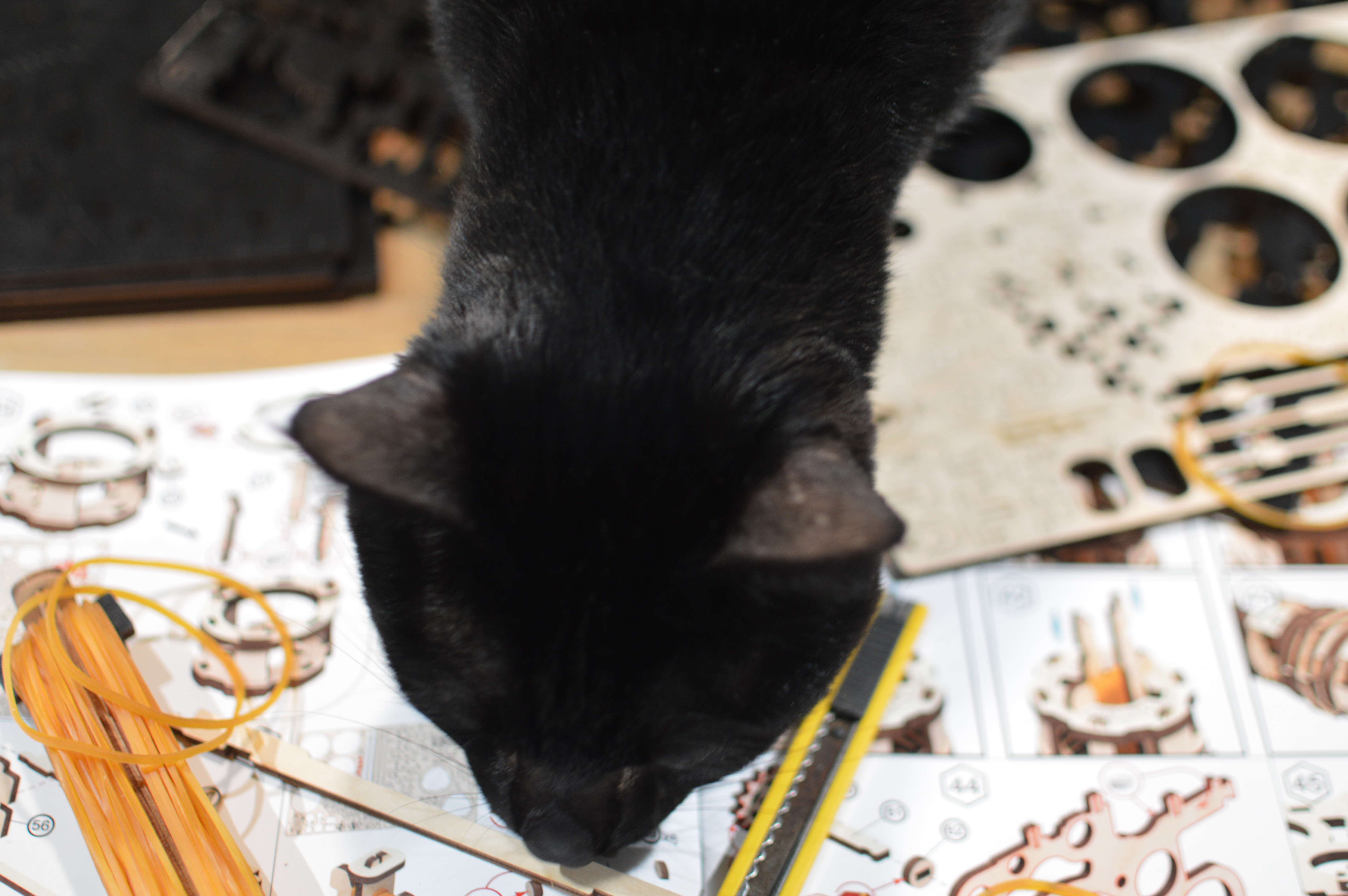 プレゼントにもピッタリ！ ぜんまいで動く「木製黒ねこ」の組み立てに