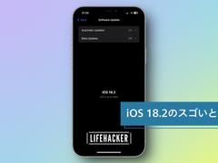 iOS 18.2の目玉はAIだけじゃない。地味だけど、かなりうれしい新機能6つ | ライフハッカー・ジャパン