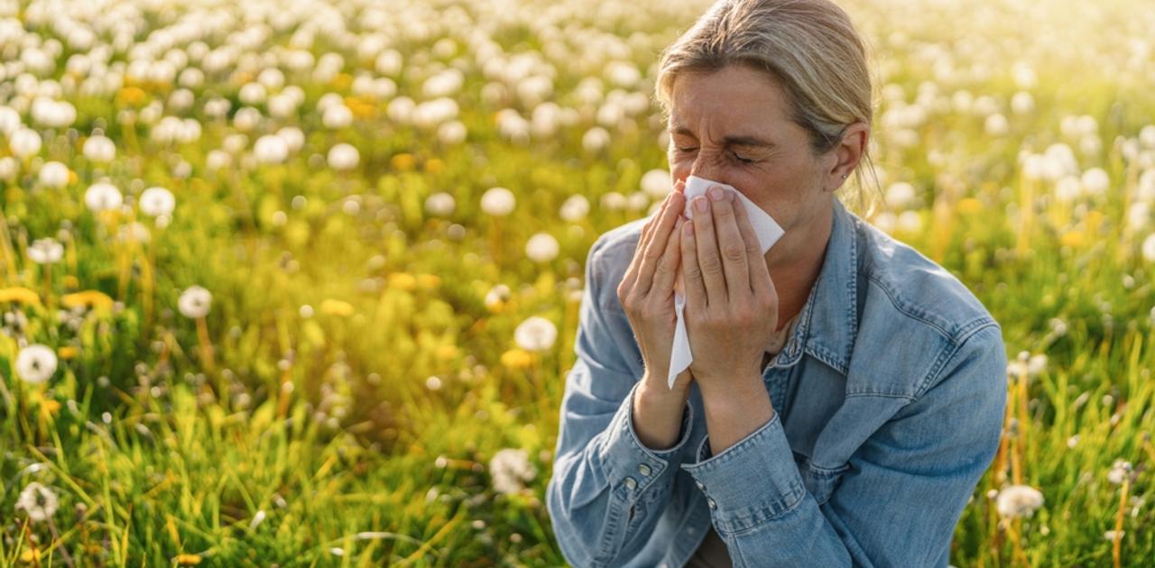今からできる「花粉対策のための行動」4選。掃除や洗濯でできるひと工夫 | Business Insider Japan