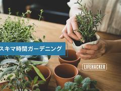 忙しい人のための1日5分ガーデニング | ライフハッカー・ジャパン