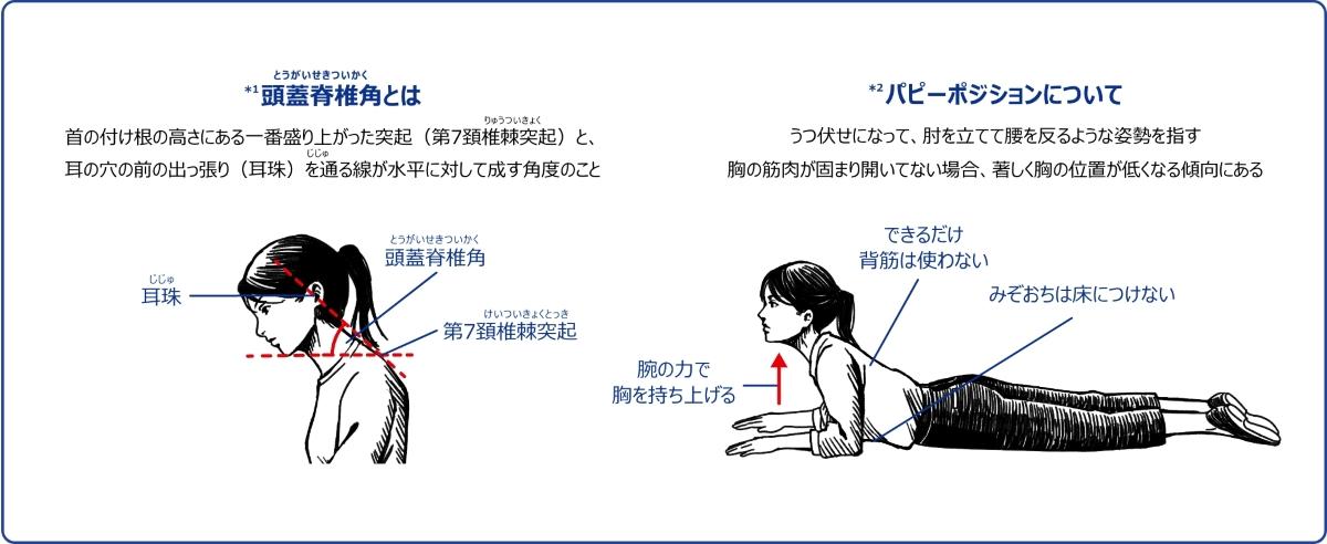 K.K様確認用専用 kk様確認ページ あぽ様ご確認ページ KK