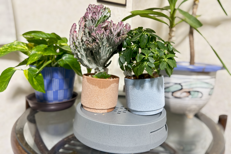 観葉植物をもう枯らさない！初心者にオススメしたい「排水できる鉢受台