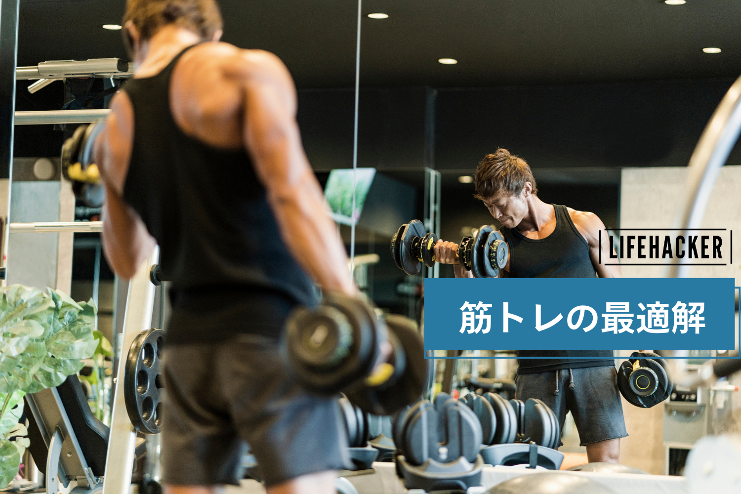 そのアドバイス、逆効果かも？ 誤解しがちな筋トレの最適解 | ライフ