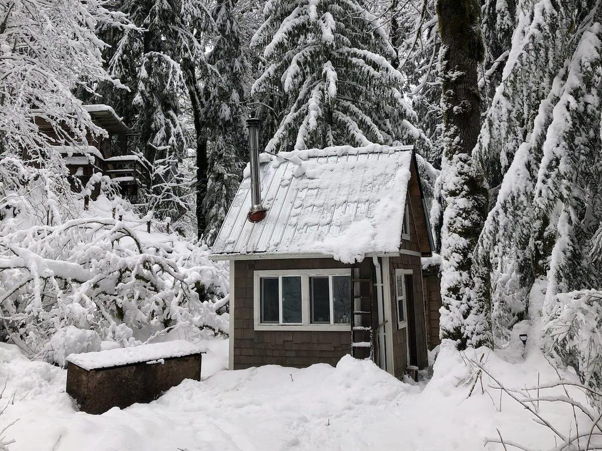 ネットで小さな小屋を約113万円で買った男性は、それで人生が一変 