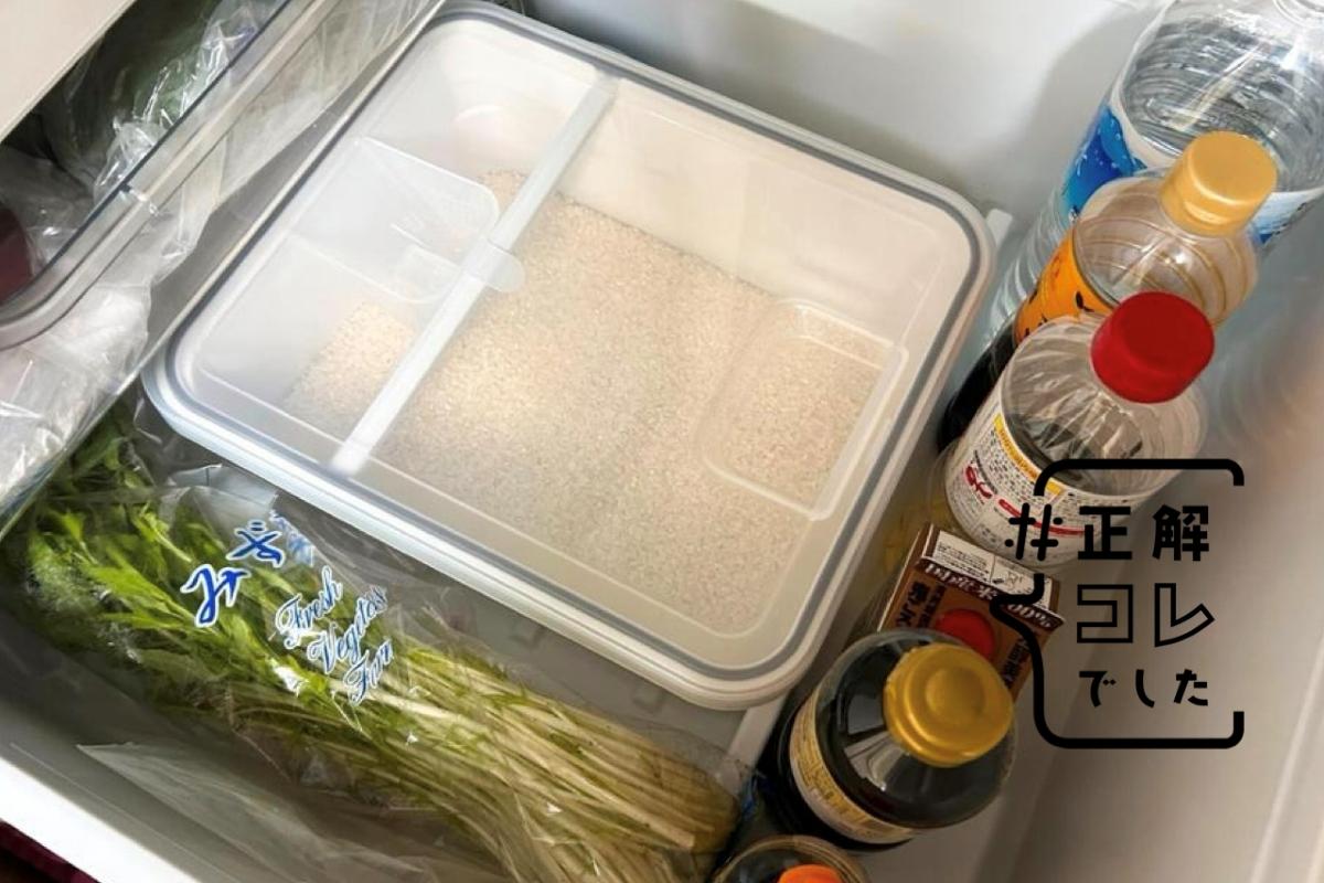 常温保存で大丈夫？野菜室にすっぽり入る米びつが、おいしさも衛生面も