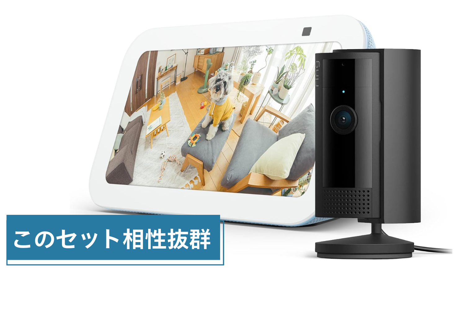 これ、見守り最強セットじゃない？小さいけど頼れるガジェットがタッグ