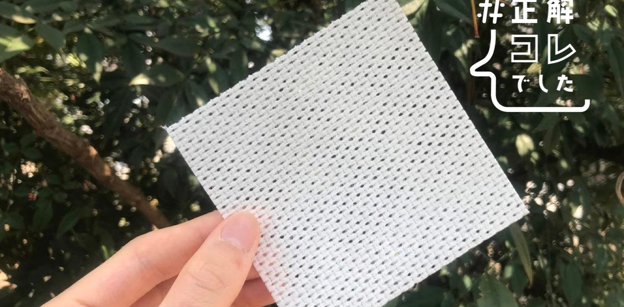 「疲れて帰宅…→お弁当箱洗う生活」をコレでやめられた | Business Insider Japan