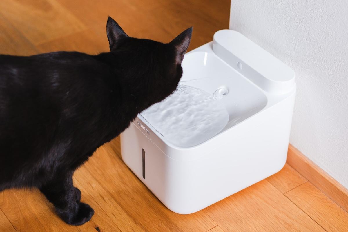 猫が自分から水を飲みに行くように。健康管理に必要なのは「Xiaomiの