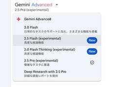 Gemini 2.5 Flash