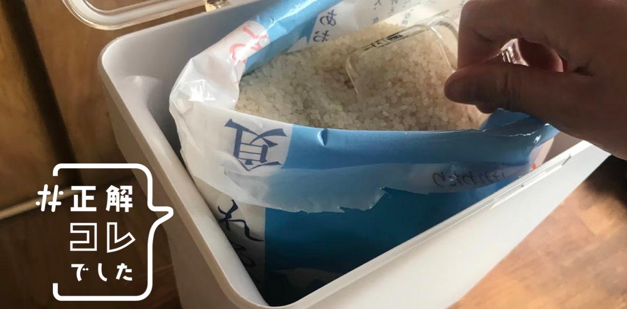 お米が高すぎる今、山崎実業の「袋ごと入れられる米びつ」に変えて大満足した理由 | Business Insider Japan