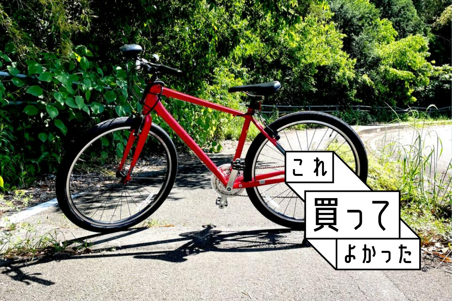 Photo: カマタユキコ