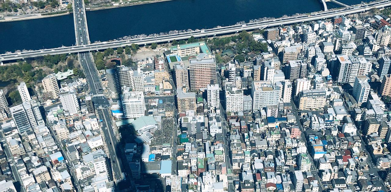 歩くのが楽しすぎる。編集部の散歩マニア3人が語りたい「私の散歩」