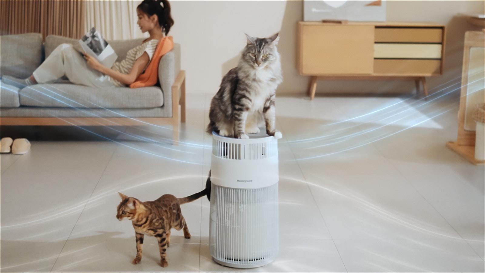 猫ちゃんフレンドリー！ 人もペットも快適に過ごせる空気清浄機「H-Cat