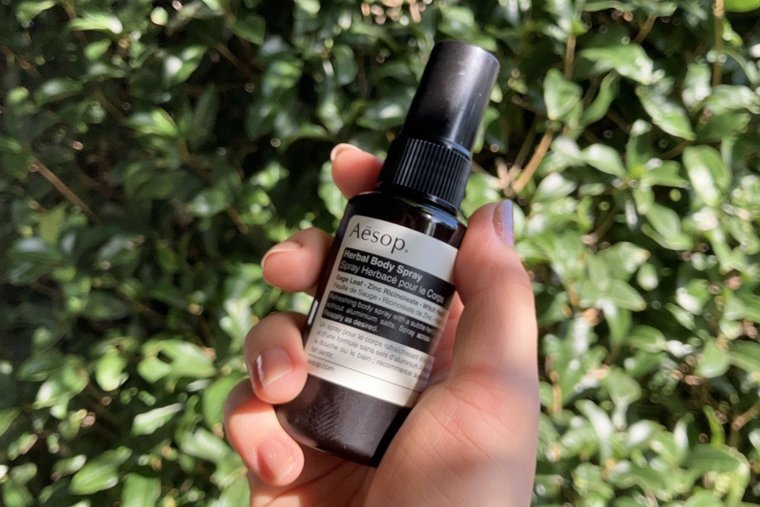 ニオイが気になる夏。「でも香水とかは苦手…」な人に推したいイソップ