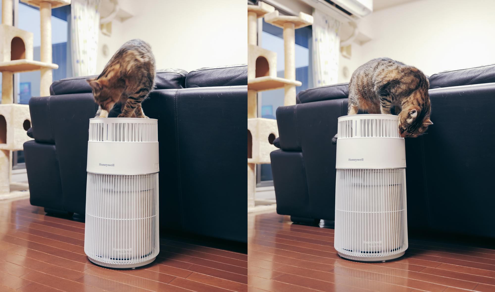 全愛猫家にオススメしたい！ 舞い散る抜け毛も一網打尽な“ネコ様