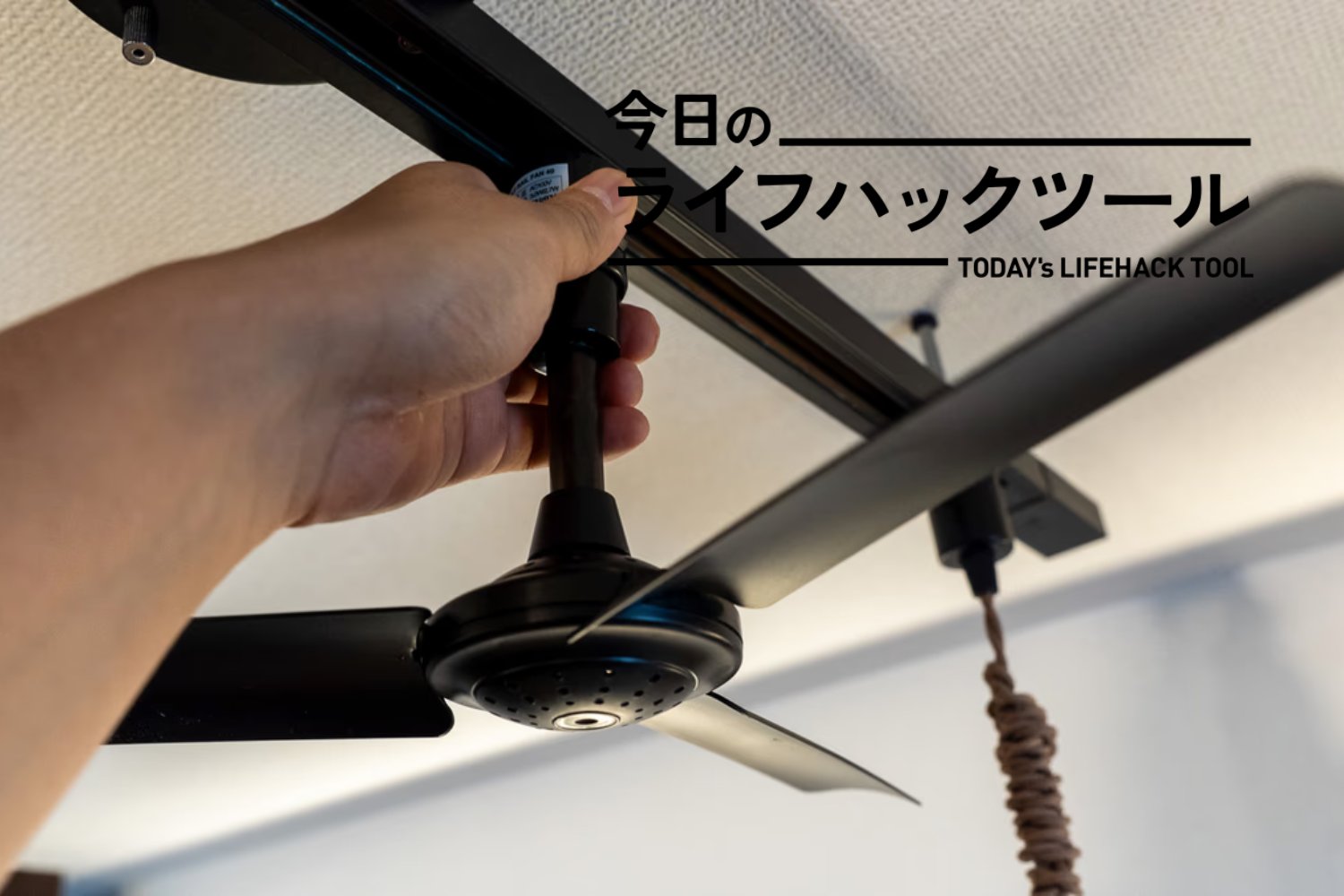 猫のきなこ ダクトレールファン 003389 WOOD BK×BR 猫のきなこ様専用 ダクトレールファン 003389 WOOD BK×BR - メルカリ