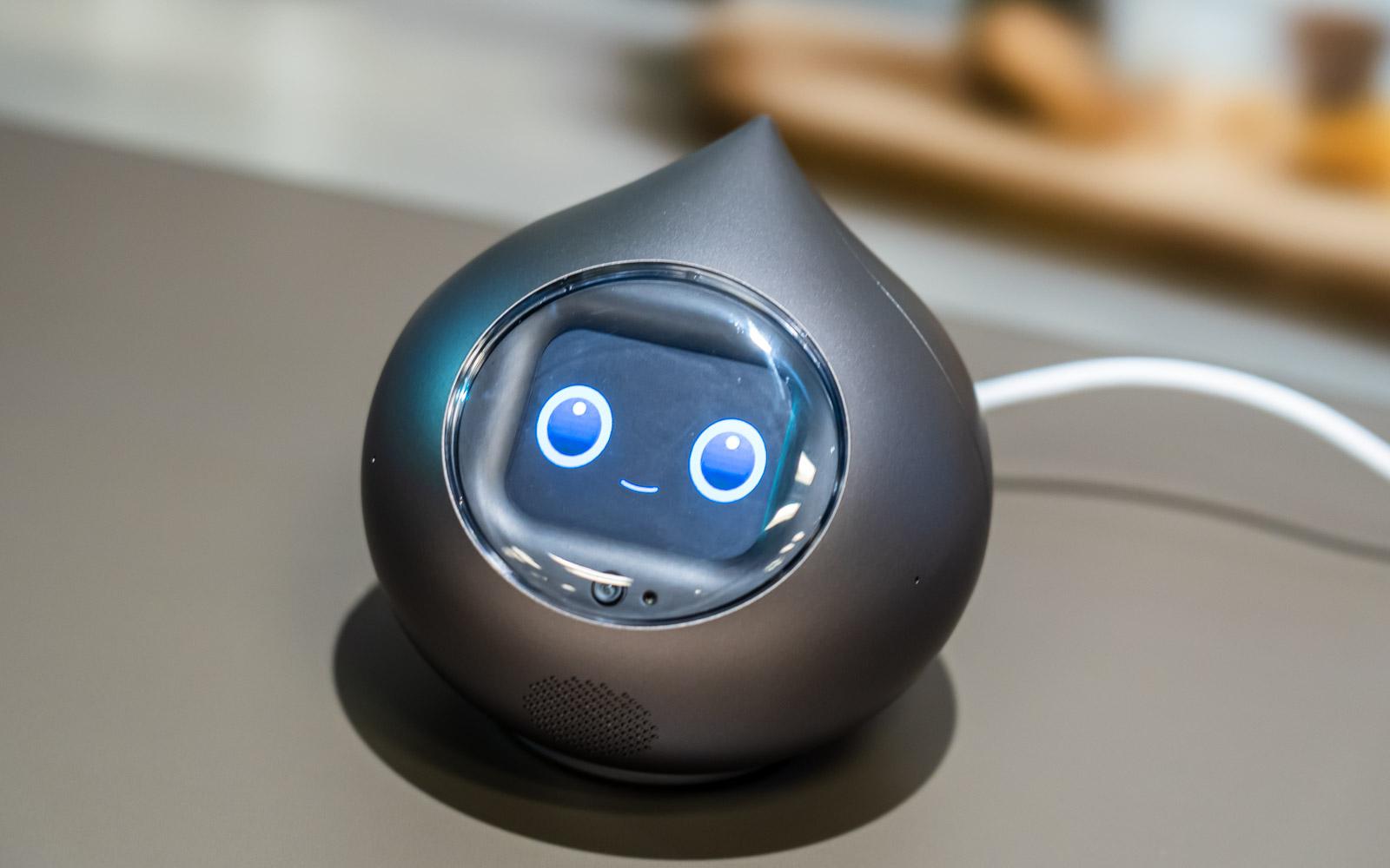 MIXIの会話を憶えるロボット「Romi（Lacatanモデル）」が25日発売。AI