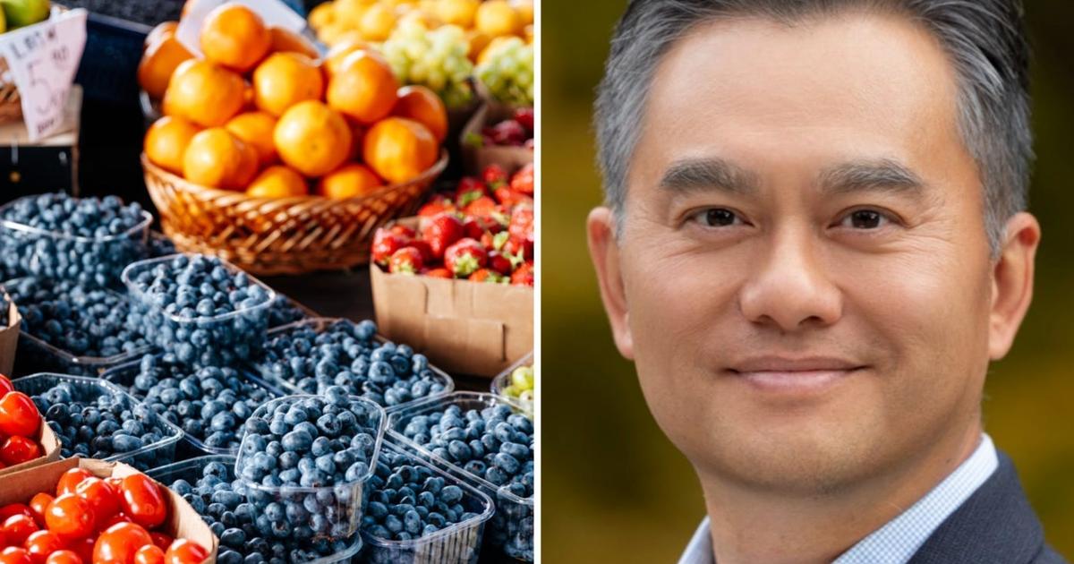 長寿と健康の秘訣！加齢学教授が実践する「地中海式食事法」の驚くべき効果