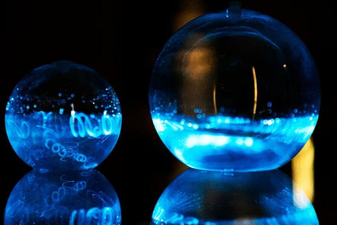 水替え不要のアクアリウム？ 書斎に置く生きたアートがもたらす