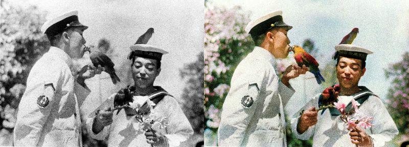 戦争当時の空撮・攻撃時の写真 画像集】真珠湾攻撃から78年。太平洋戦争が始まったあの日、現地