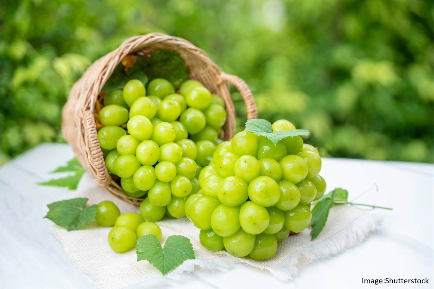 ふるさと納税ポイントは9月まで！ ジューシー堪能できるフルーツランキングTOP10 #楽天スーパーSALE | ライフハッカー・ジャパン